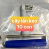 cây lăn  keo 