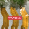 🔌 CÁP NỐI MÀN HÌNH (LCD FLEX) + MAIN SẠC (MAIN FLEX) VIVO V40 LITE – CHẤT LƯỢNG – GIÁ RẺ
