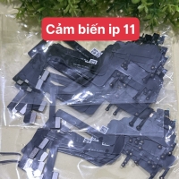 Cáp Loa Cảm Biến Fixx Face IC iPhone 11 (Không Loa) 