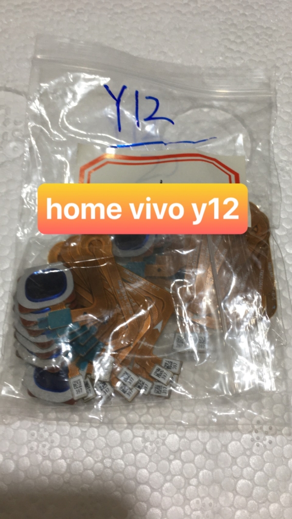 home vivo y12