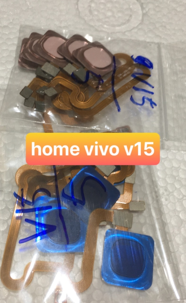 home v15