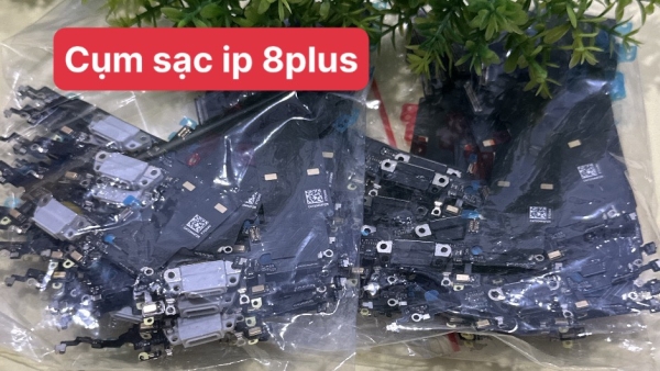 Cáp Chân Sạc iPhone 8 Plus Zin New 