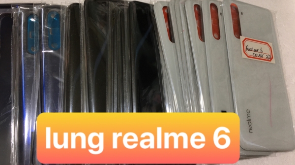 Vỏ Bộ / Mặt Lưng / Kính Camera / Khay Sim Realme 6 Chính Hãng
