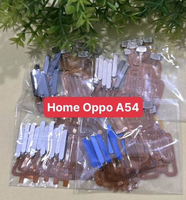 Cáp Nguồn Cảm Biến Vân Tay Oppo A14/A54/A55 - 4g Lắp Chung