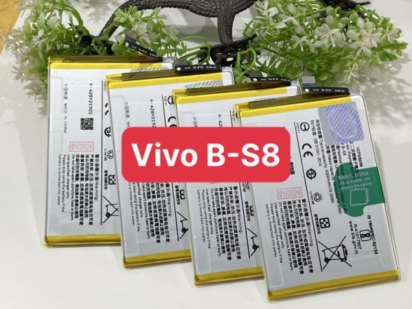 PIN VIVO B-S8(B S8)