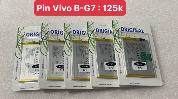 Pin linh kiện Vivo B-G7, Vivo Y3, Vivo Y11, Y12, Y15, Y17, U10, Z5x 4880, 5000mAh