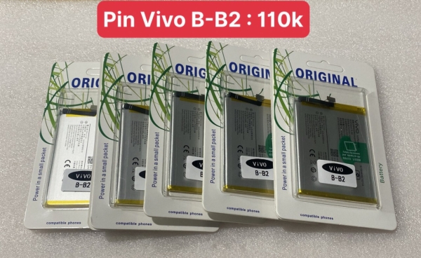 Pin  Vivo B-B2, Vivo V5 / Y66 / Y67 / V5s 2930, 3000mAh