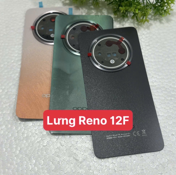 Mặt Lưng Oppo Reno 12F-5G 