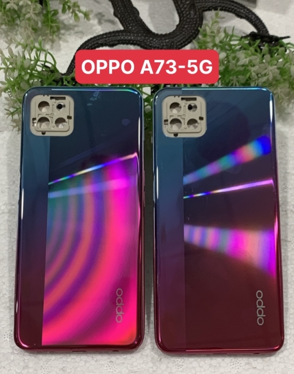 Vỏ Bộ, Mặt Lưng, Kính Camera, Khay SIM OPPO A73 / A73 (5G) - Thay Mới, Giá Tốt