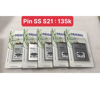 PIN SAM SUNG S21 