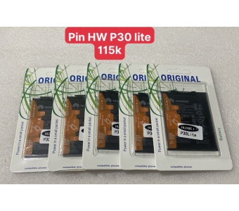PIN P30 LITE 
